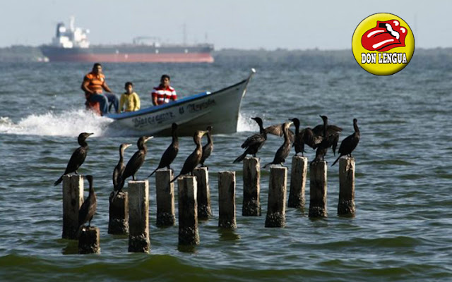 Atracaron a más de 20 pescadores y mataron a 4 en medio del lago de Maracaibo para atracarlos