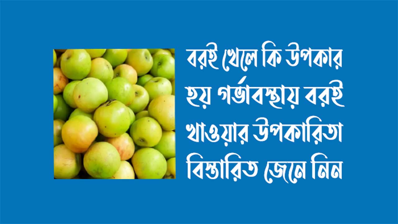 বরই খেলে কি উপকার হয় - গর্ভাবস্থায় বরই খাওয়ার উপকারিতা