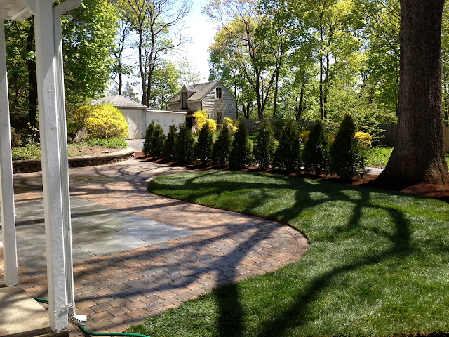 Shrub Planting Services Melrose MA