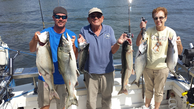 salmon show down, fishing tournaments, salmon tackle, live bait, coho salmon