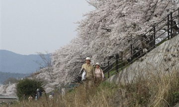 20130404-DSC03562