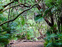 Key West Tropical Forest Botanical Garden