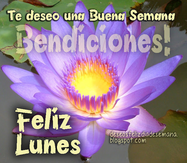 Imágenes con frases de feliz lunes, saludos del Lunes, mensajes cristianos para facebook de feliz lunes por Mery Bracho.