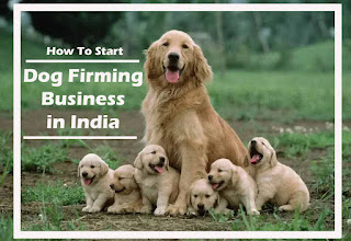 Dog Farming Business in India