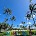 Plan Your Trip to Miami: A Complete Guide to an Unforgettable Vacation