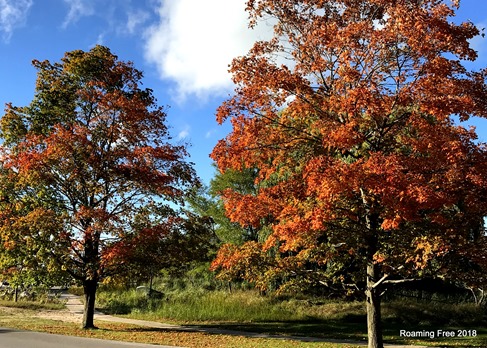Beginning of fall color