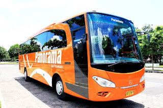 rental bus pariwisata panorama murah