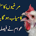 Imran Khan poultry plan will be successful or failed, the public heard the decision.