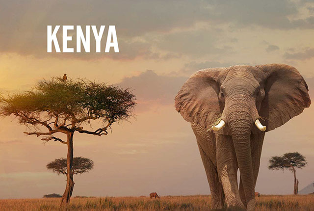 Budget Kenya Tour Travel Packages from India