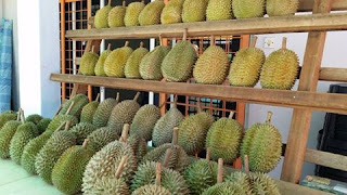 Durian King ori Balik Pulau dah sampai. Lokasi: Berdepan Vistana Hotel Bukit Jambul..