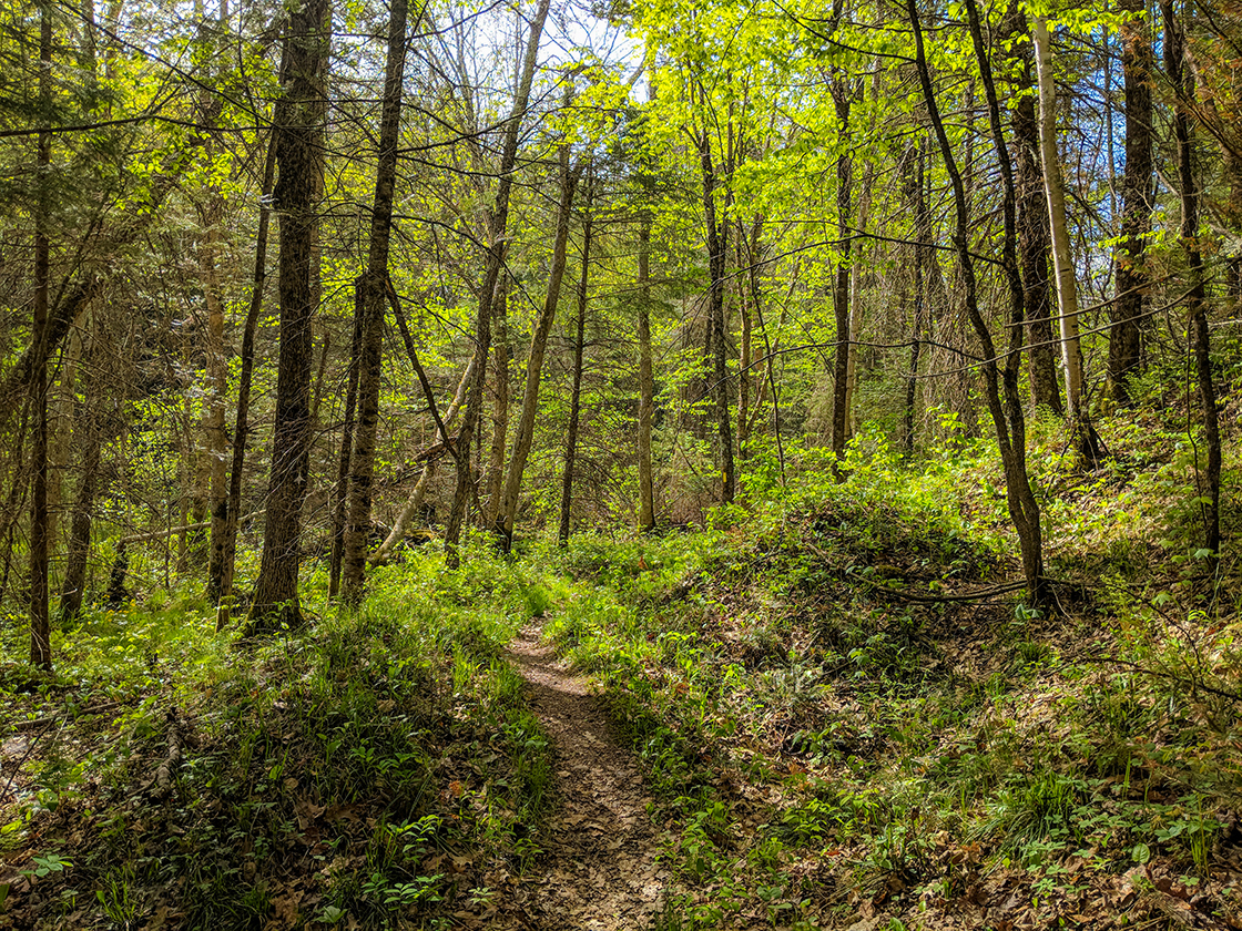 Hardwood Lakes Segment of the Ice Age Trail