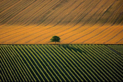 Beautiful Bird's-Eye Photos by Yann Arthus-Bertrand Seen On www.coolpicturegallery.us