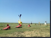 IMG_1416 IMG_1416
