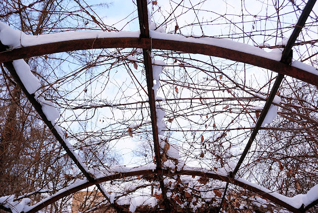 Top of a Pergola in a Winter Park