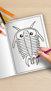 horseshoe crab coloring page sample