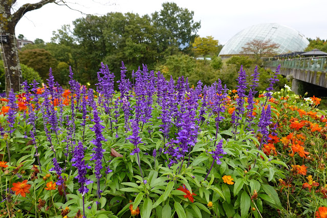 鳥取県西伯郡南部町鶴田　とっとり花回廊　エントランス展示