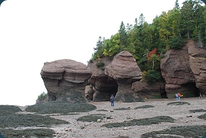 hopewell rocks