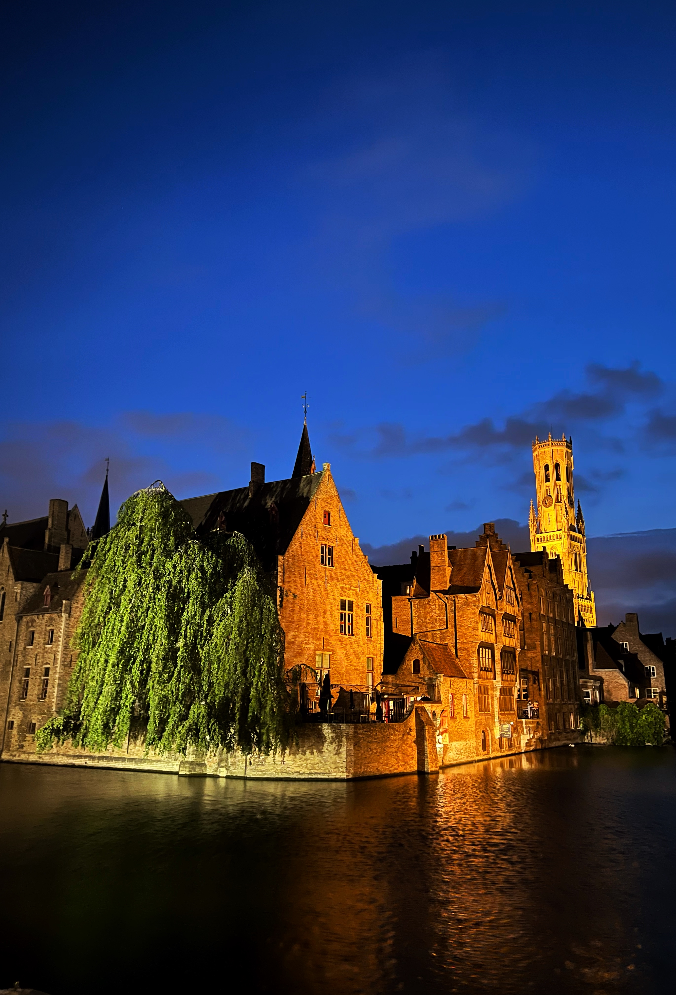 Adrienne Nguyen_Bruges Belgium Boat Tour_Swans_rozenhoedkaai_Quay of the Rosary at Night_Bruges at Night