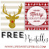 Elegant Reindeer Christmas Images for Free