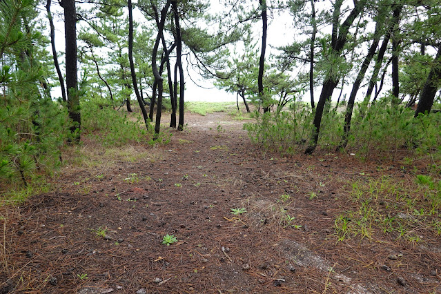 鳥取県米子市両三柳