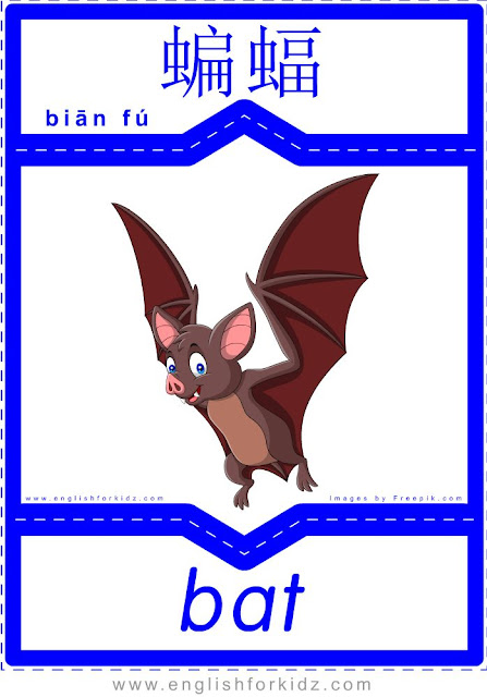 Bat - English-Chinese flashcards for wild animals topic