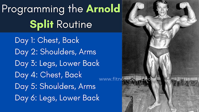 Arnold Split Routine