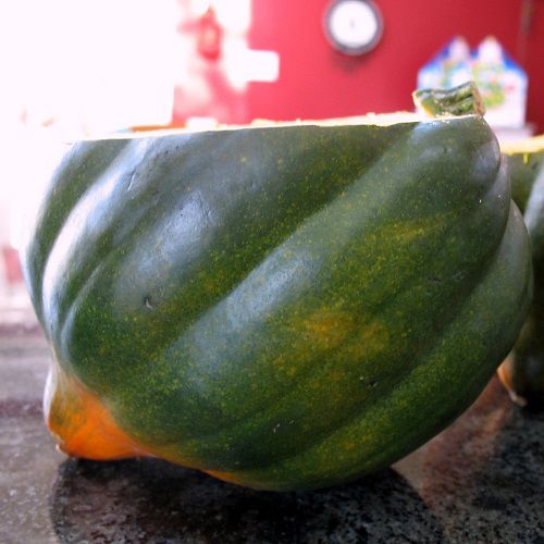 Acorn Squash Pasta Bowls 1