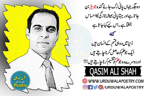qasim-ali-shah-funny-quotes