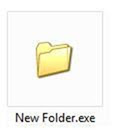 newfolder thumb How to remove new folder exe or regsvr exe or autorun inf virus