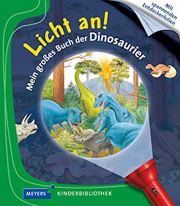 Mein großes Buch der Dinosaurier: Licht an! (Licht an! Die Reihe mit der magischen Taschenlampe)