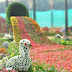 15 Top Floral Destinations in India