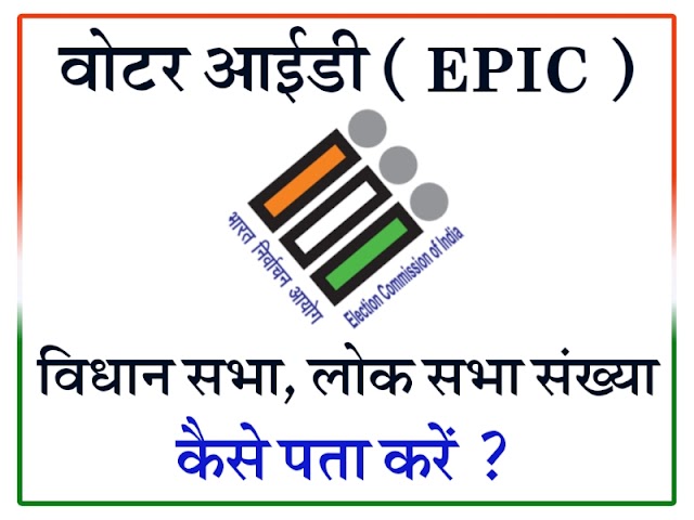 How to know Voter ID details, Vidhan Sabha and Lok Sabha number | EPIC 