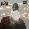 Cashis-County_Hound2