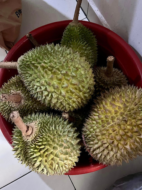 Bila Tiba Musim Durian