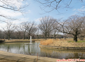 Yoyogi Park: Spring 2017 in Tokyo