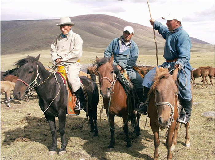 Mongolia Horses and Humans - Nice Photographs...