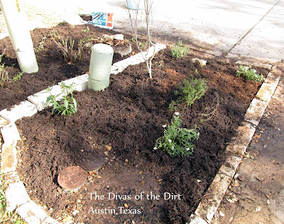 DivasoftheDirt,Drive bed replanted