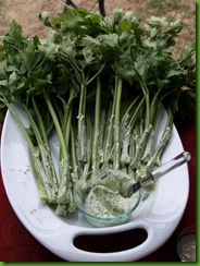 P1016920