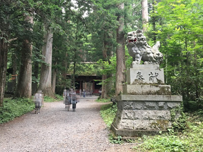 戸隠神社奥社参道