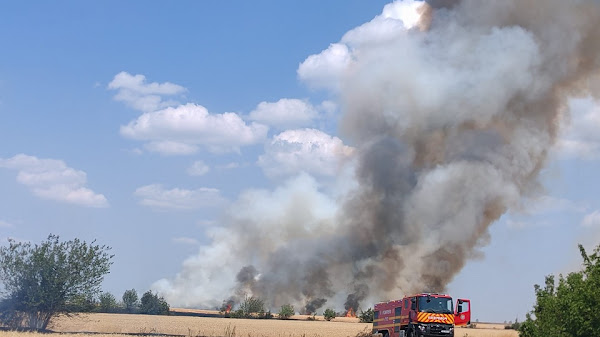 Zeci de hectare de grâu, s-au făcut scrum la Basarabi