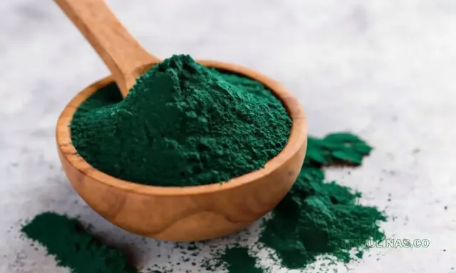 Spirulina for Energy A Natural Energy Booster