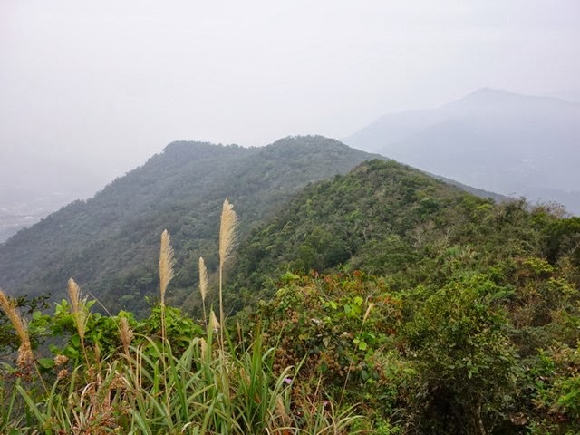 2013_0127 白賓山、真笠山、笠頂山 O走_022