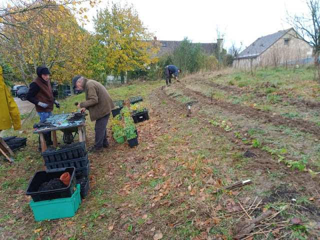 Tree planting, Indre et Loire, France. Photo by Loire Valley Time Travel.