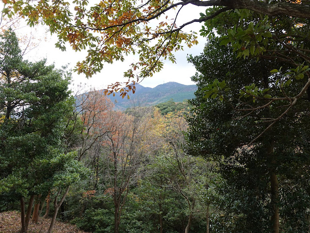 弥生の森の遊歩道　孝霊山