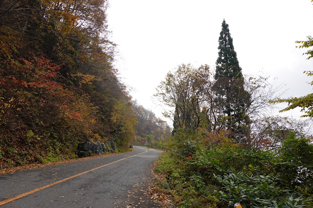 鳥取県道45号倉吉江府溝口線（大山環状道路）