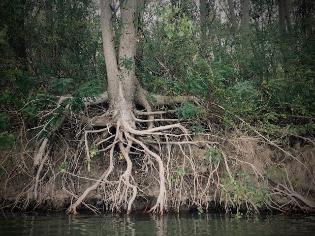 Natura pe langa Dunarea Veche, Macin