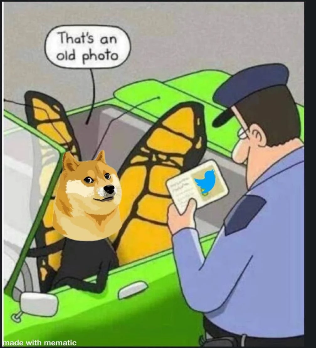 Elon Musk changes the Twitter logo.. Why did the dog replace the bird? And what is Dogecoin A large number of Twitter users saw the "dog" dog symbol instead of the blue bird logo usually used on the platform.    Some users have noticed that the home button in the top corner of their web browsers, which is usually the blue bird icon, has been replaced with a caricature of a Shiba Inu dog.