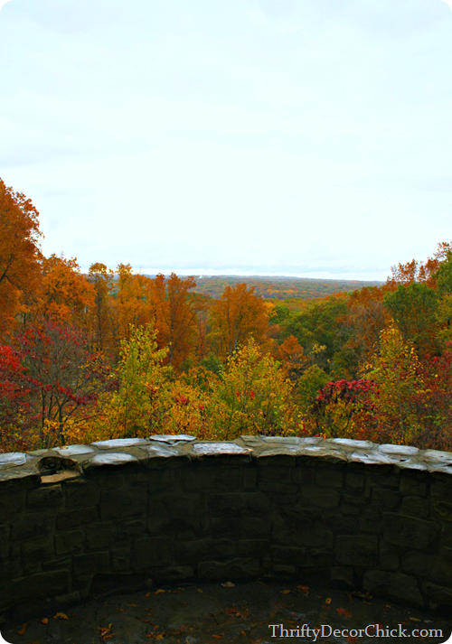Indiana fall foliage 