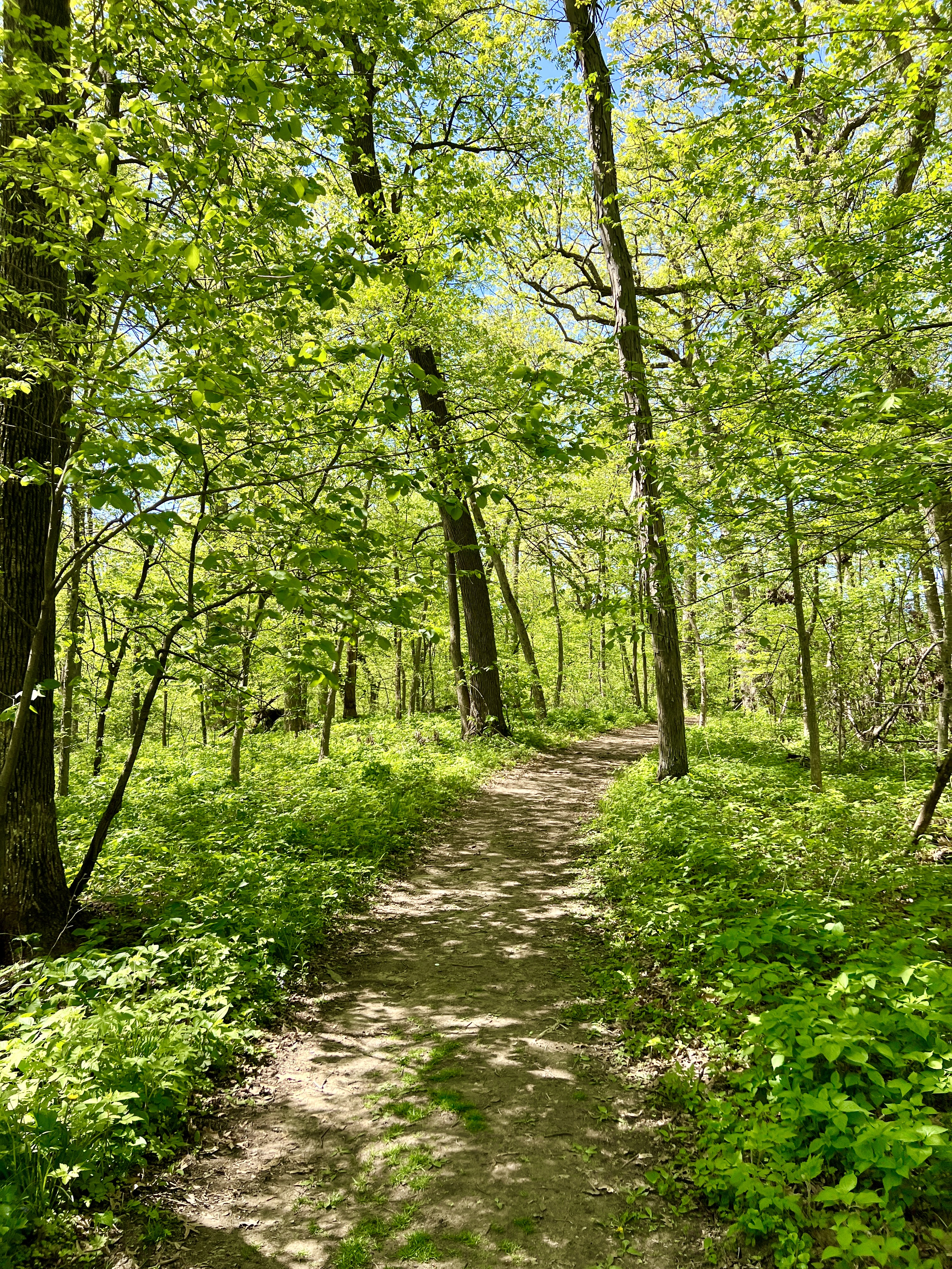 Hike, Swim, Fish, and More At Thomas Mitchell Park In Iowa