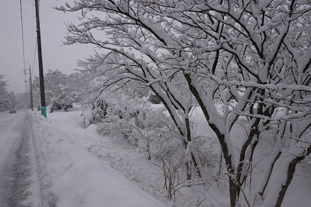 鳥取県西伯郡大山町赤松 鳥取県道24号米子大山線からの眺望